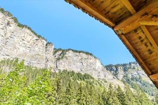 Large Mountain Chalet with Hot Tub Sleeps 19 - 8