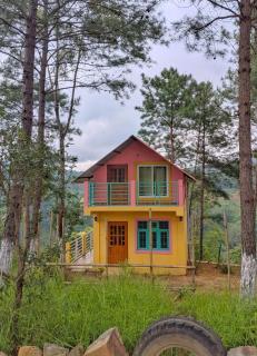 Rimaaia homestay - 7