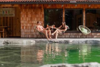 Luxury Chalet with Swimming Pond Nature Escape Upper Austria - 7