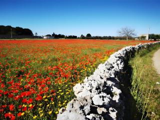 Villa Mios - 5