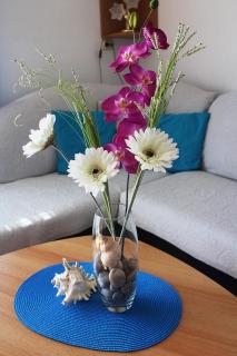 Apartment Teraferma - Komiža - 4