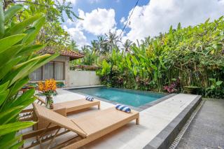 3 Beagles Villa - 8