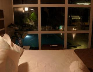 Orchid Hills - Hill Valley Resort - 8