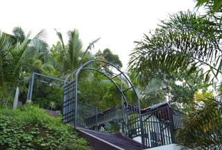 Orchid Hills - Hill Valley Resort - 6