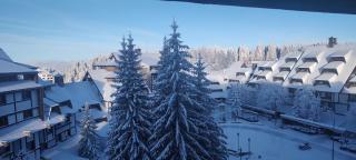 Kockica Kopaonik - 4