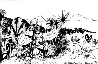 Le Bananier Rouge - 1