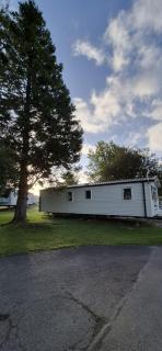 Carolina, Bowland Fell Holiday Park - 9