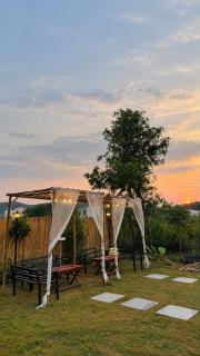 Amaro Ranthambore Retreat & Resort - 6