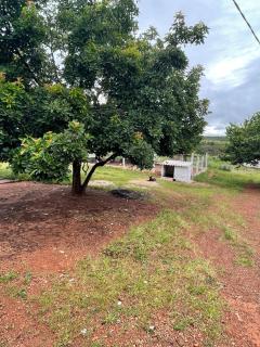 Fazenda Buritis - 5