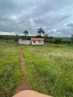 Fazenda Buritis - 2