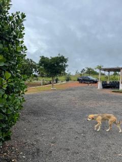 Fazenda Buritis - 1