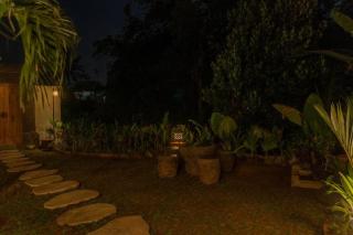 Dadi Villa Ubud - 2