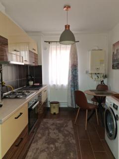 The Traveller's Nest Apartment ' Cuibul Calatorului Apartament - 7