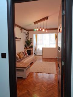 The Traveller's Nest Apartment ' Cuibul Calatorului Apartament - 1