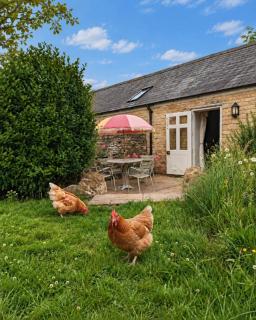 Pea Cottage - 6