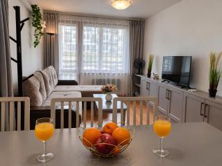 Belvedere Deluxe Apartment With Terrace L103 - 8