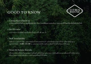 Citrus House Phra-Arthit - 8