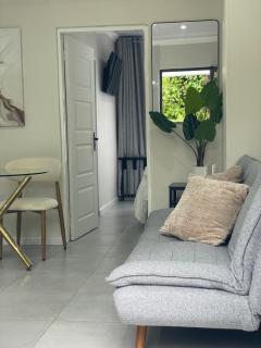 Park Avenue - Newcastle - 5