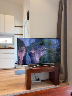 Small Loft house, Mezzanine, Garden, Parking, near Basel - 1