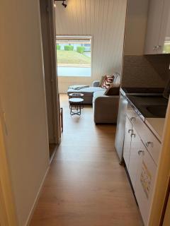 Studio 4 pers au pied des pistes, parking gratuit - 9