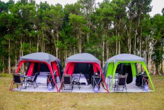 Majika Lifestyle - 1