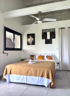 Eco-Nature Studio - 2