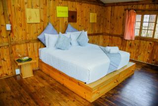 Majika Lifestyle - 3