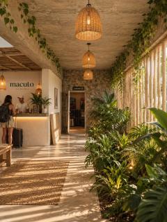 Macuto Hostels - 4