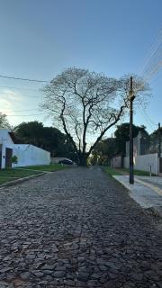 Guest House Rua da Arvore - 0
