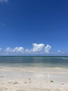 Modern Studio at Corales 210A - 6
