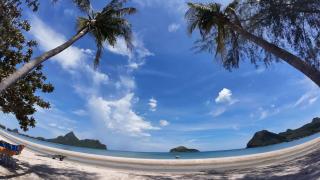 ThaiMex Cafe & Homestay Adults Only - 0