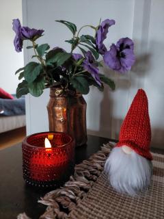 Arctic Luxury - Rovaniemi - 3