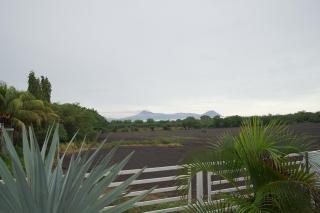 Vista hermosa - 1