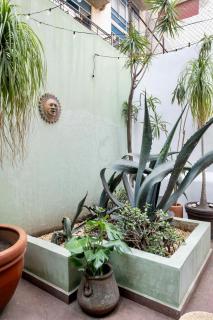 Casa Agave house kesh , Casa Agave, Fabulous house - 2