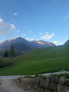 Cozy studio with Swiss charm - 8
