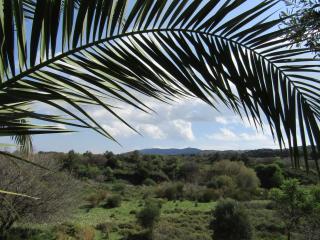 Asklipion Valley guest house - Kos - 9