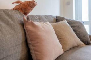 Toast Stays - Pleasant View House - 5