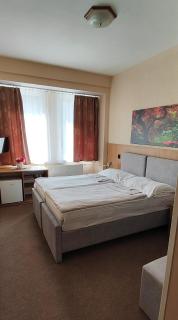 Hotel Kamei - 8