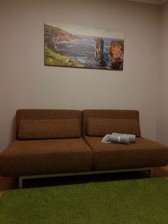 Līgatne Forest View Apartment - 2
