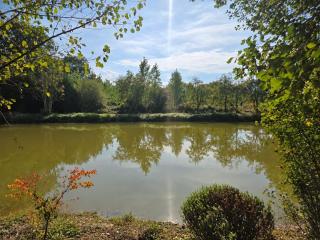 Pause calme au cœur du Perche - 3