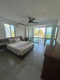 Amazing 7-bedroom oceanfront house - 3