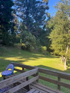 Riñinahue, Lago ranco - 6
