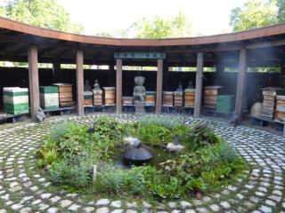 de zanderij - 's-Graveland - 3
