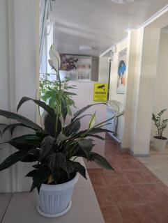 Hostel - 5