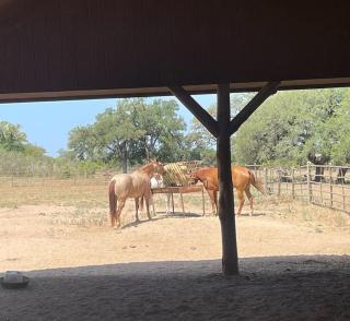 Buda Casita - 4