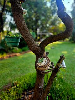 Hartbeespoort - El-Tsuri Guest Resort - 3
