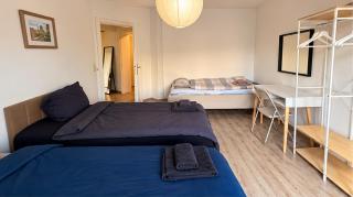 Jordan 3 - Friends & Family - Deine Urlaubsoase - Dresden - 6