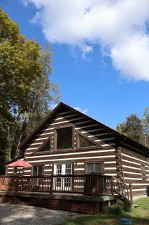 Cozy cabin villa with hot tub and fire pit - 0