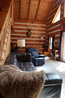 Cozy cabin villa with hot tub and fire pit - 5