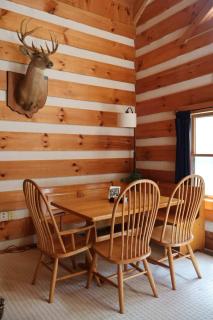 Cozy cabin villa with hot tub and fire pit - 9